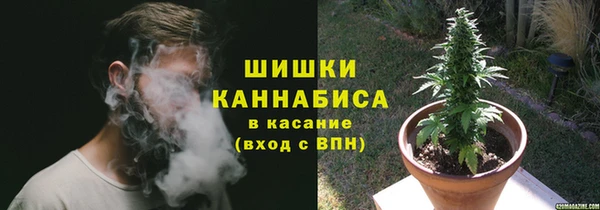 гидра Каменногорск