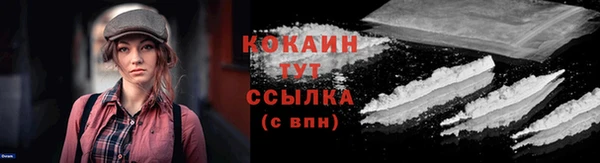 молекула духа Каменск-Шахтинский