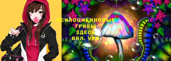 гидра Каменногорск