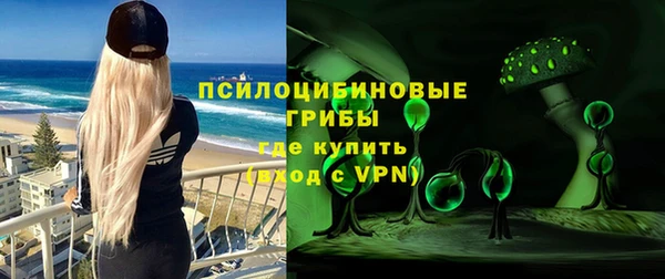 молекула духа Каменск-Шахтинский