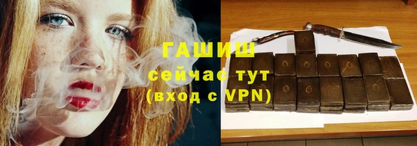 гидра Каменногорск